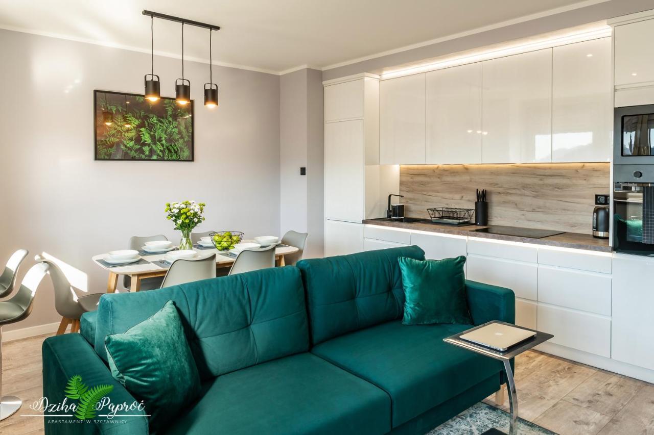 Apartament Dzika Paproc Шчавница Екстериор снимка