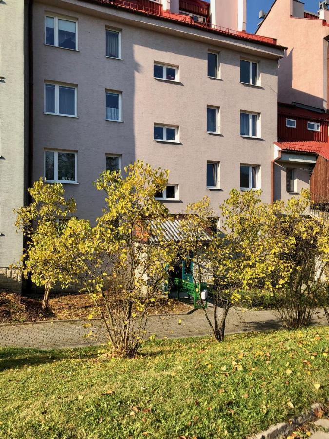 Apartament Dzika Paproc Шчавница Екстериор снимка